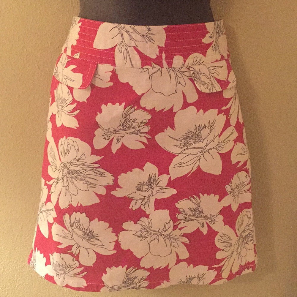 Ann Taylor Skirt